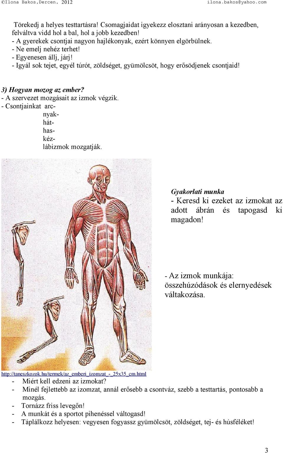 3) Hogyan mozog az ember? - A szervezet mozgásait az izmok végzik. - Csontjainkat arcnyakháthaskézlábizmok mozgatják.