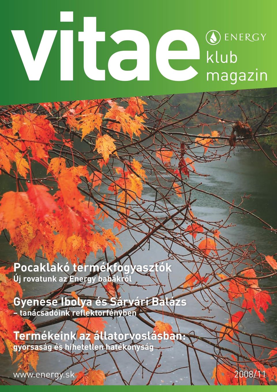 tanácsadóink reflektorfényben Termékeink az