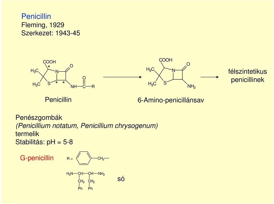 6-Amino-penicillánsav Penészgombák (Penicillium notatum,