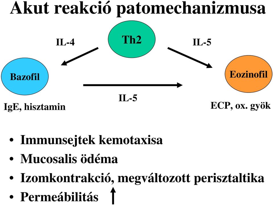 gyök Immunsejtek kemotaxisa Mucosalis ödéma