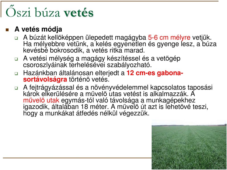 A vetési mélység a magágy készítéssel és a vetıgép csoroszlyáinak terhelésévei szabályozható.