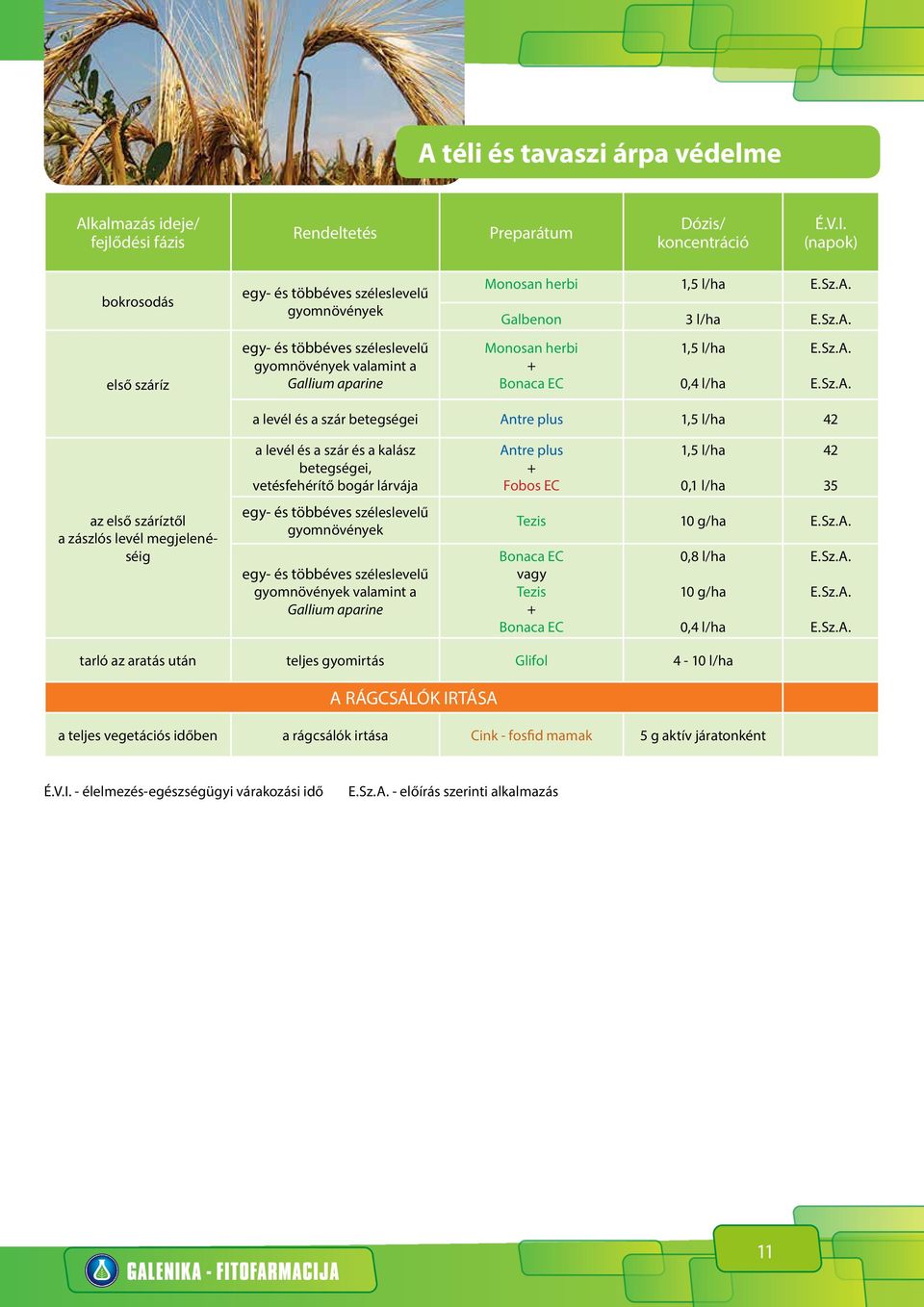 lárvája gyomnövények gyomnövények valamint a Gallium aparine Antre plus Fobos EC 1,5 l/ha 0,1 l/ha Tezis 10 g/ha Bonaca EC Tezis Bonaca EC 0,8 l/ha 10 g/ha 0,4 l/ha 42 35 tarló az aratás után
