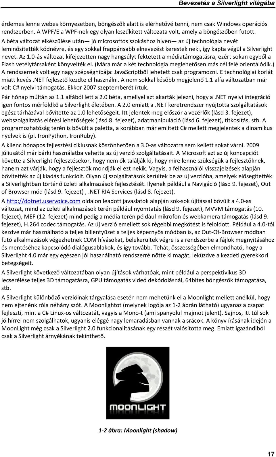 A béta változat elkészülése után jó microsoftos szokáshoz híven az új technológia nevét leminősítették kódnévre, és egy sokkal frappánsabb elnevezést kerestek neki, így kapta végül a Silverlight