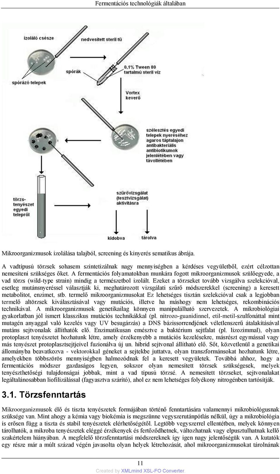 A fermentációs folyamatokban munkára fogott mikroorganizmusok szülőegyede, a vad törzs (wild-type strain) mindig a természetbol izolált.