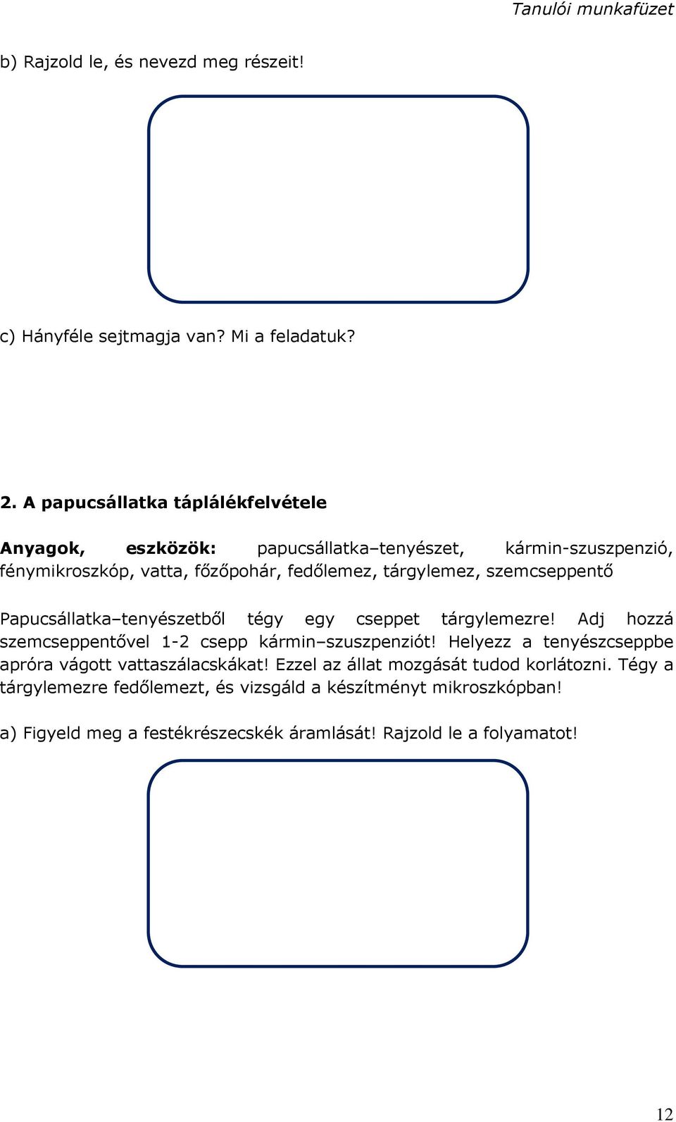 tárgylemez, szemcseppentő Papucsállatka tenyészetből tégy egy cseppet tárgylemezre! Adj hozzá szemcseppentővel 1-2 csepp kármin szuszpenziót!