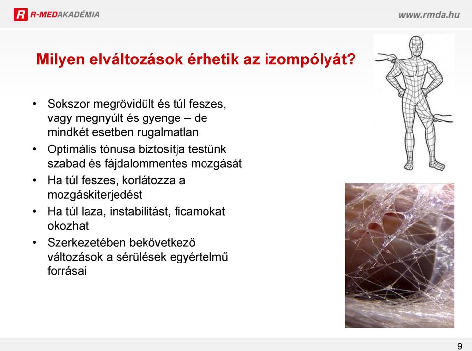 Optimális tónusa biztosítja testünk szabad és fájdalommentes mozgását Ha túl feszes,