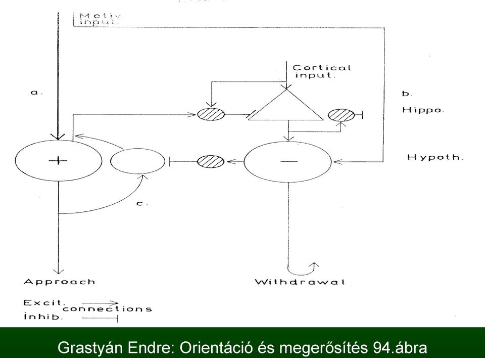 Orientáció