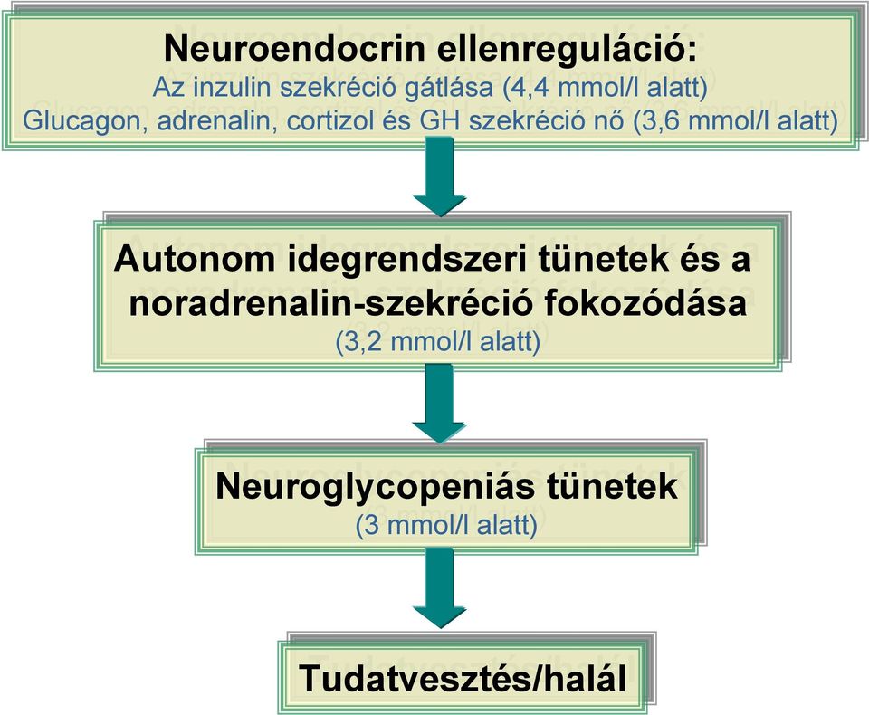 (3,6 mmol/l mmol/lalatt) Autonom idegrendszeri tünetek és és a noradrenalin-szekréció