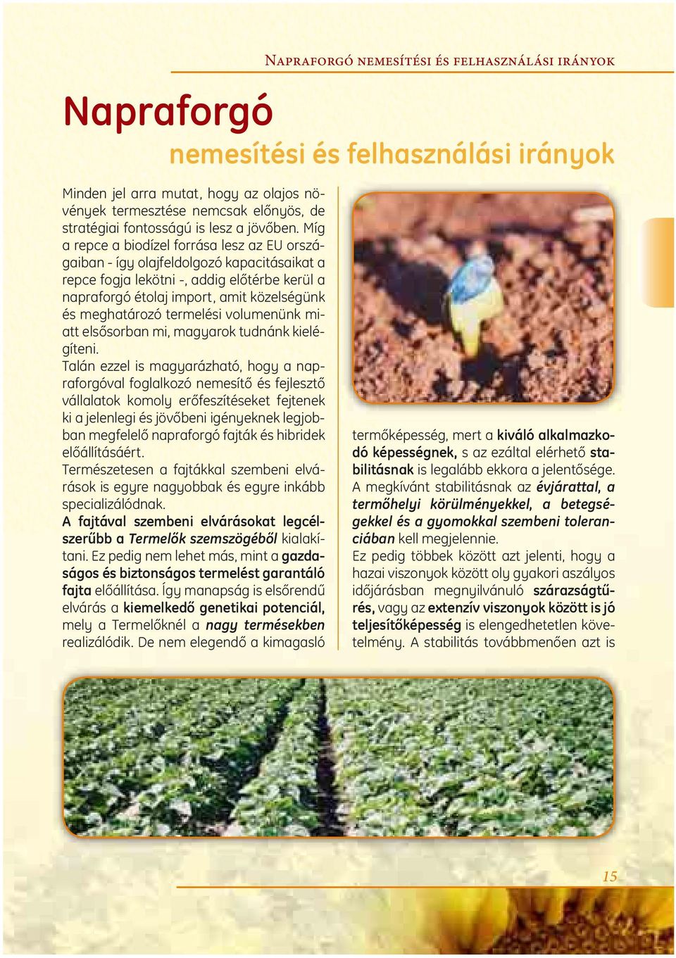 Míg a repce a biodízel forrása lesz az EU országaiban - így olajfeldolgozó kapacitásaikat a repce fogja lekötni -, addig előtérbe kerül a napraforgó étolaj import, amit közelségünk és meghatározó