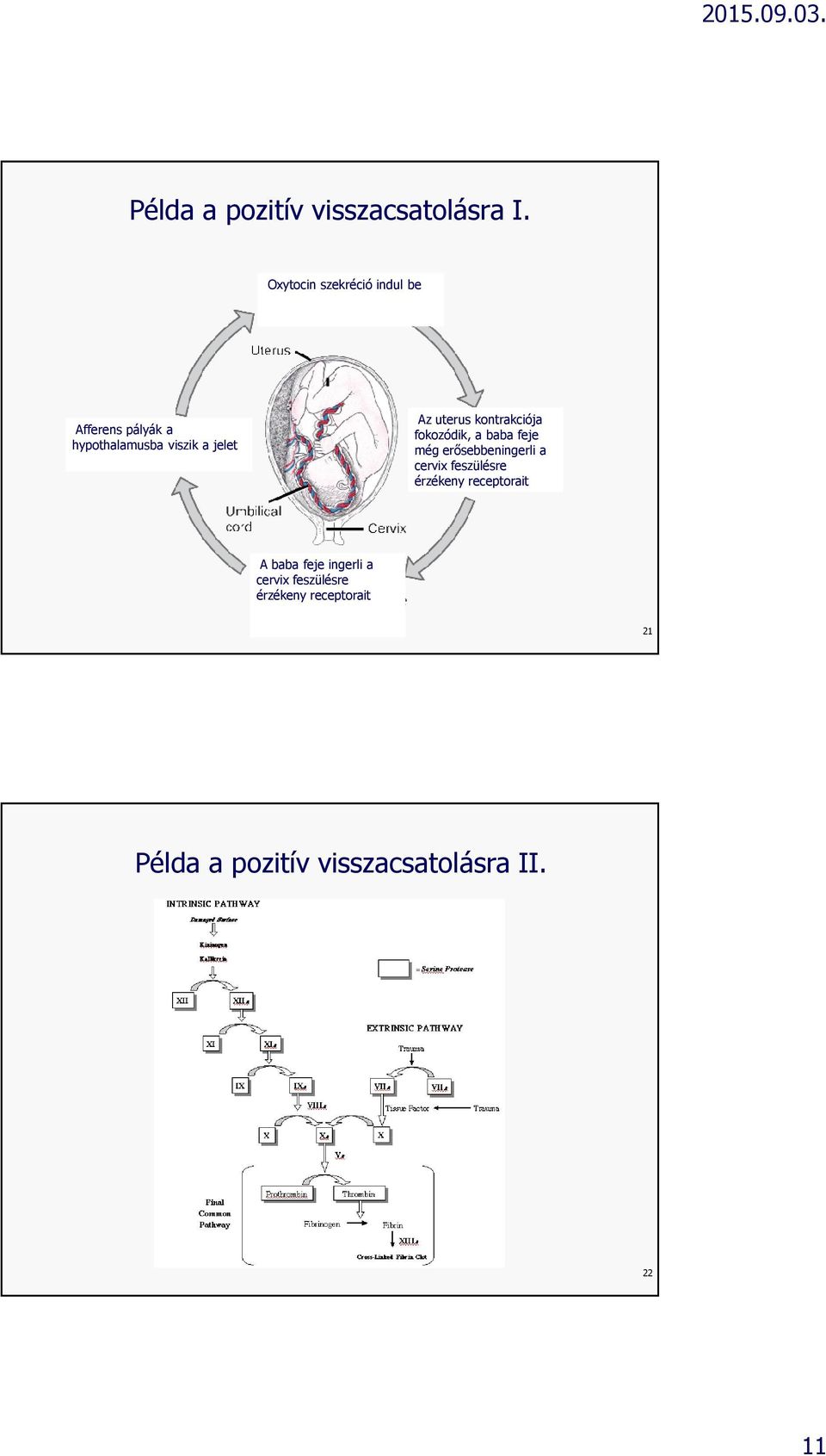 uterus kontrakciója fokozódik, a baba feje még erősebbeningerli a cervix