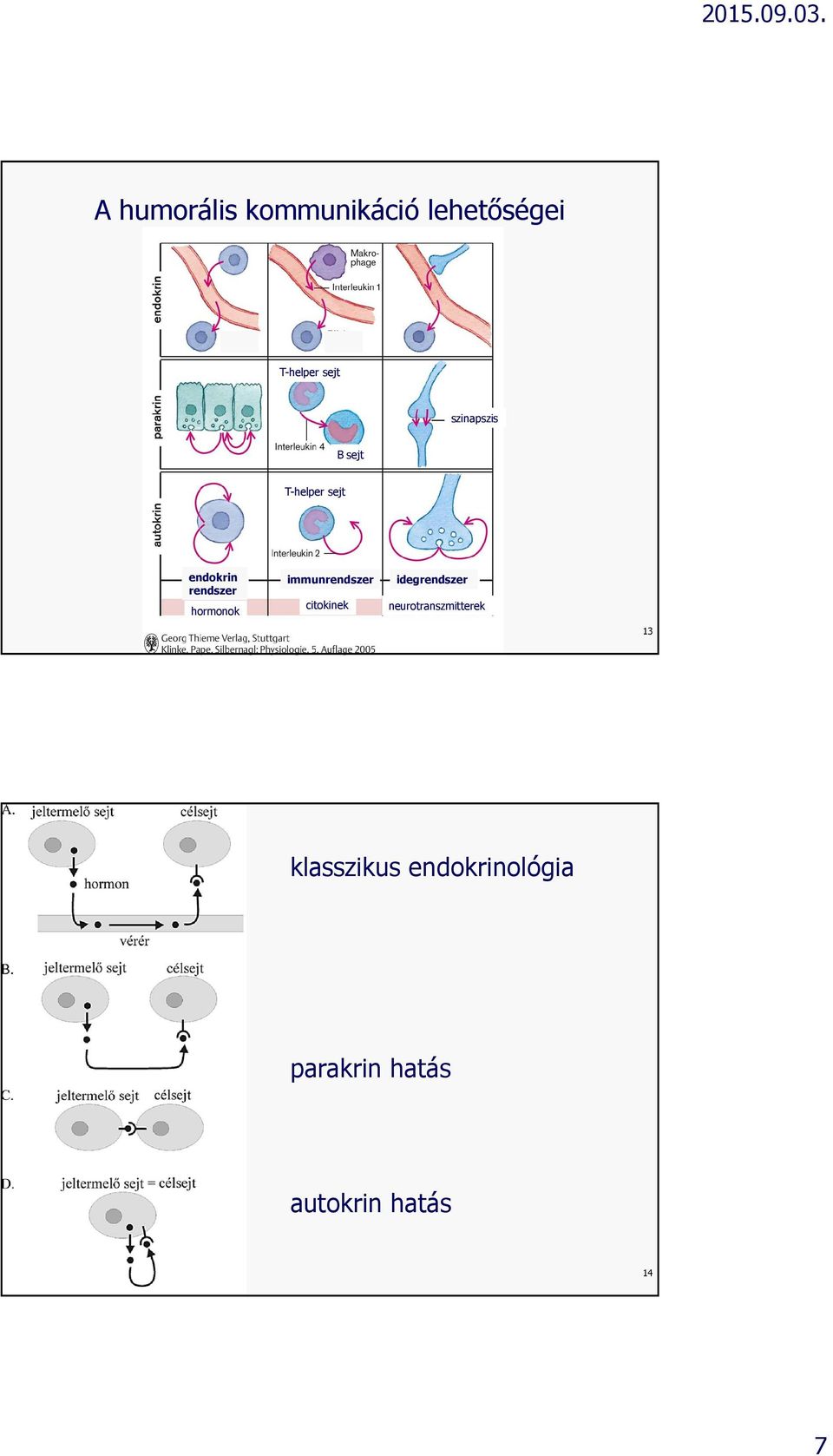 hormonok immunrendszer idegrendszer citokinek