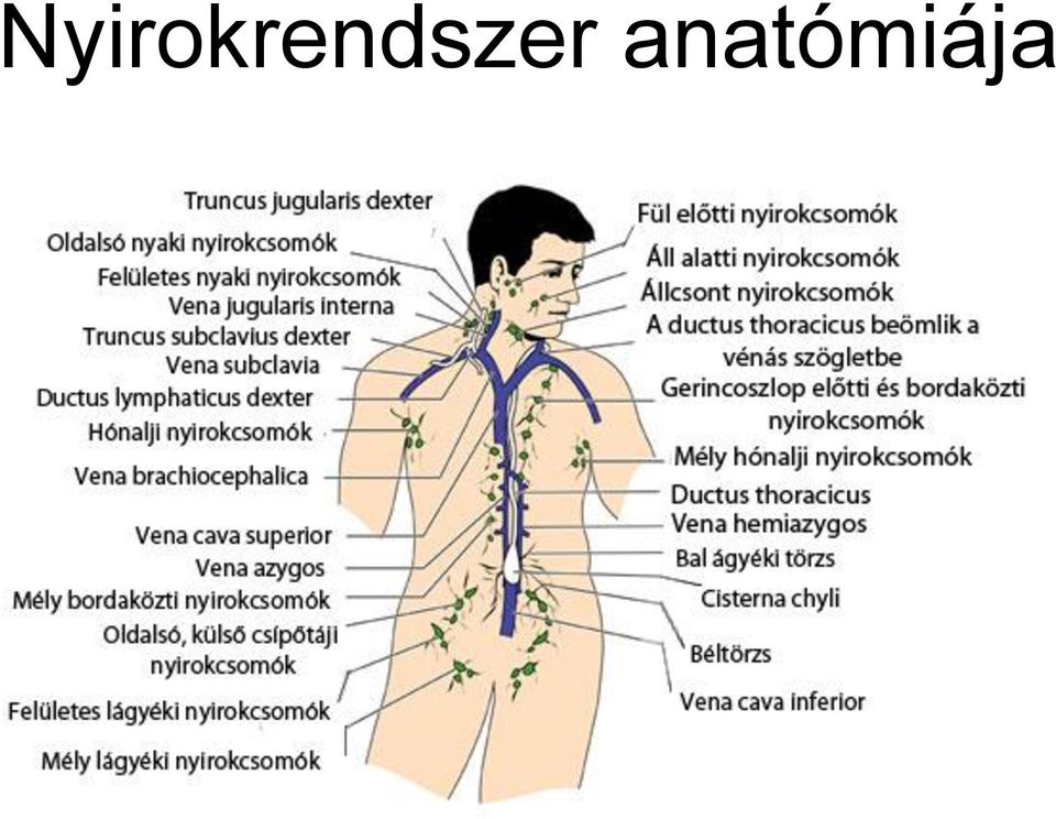 Lágyéki nyirokcsomó duzzanat