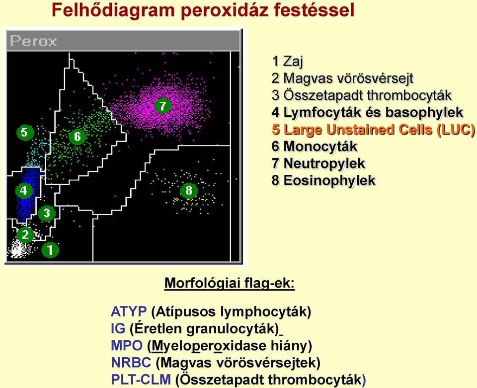 Eosinophylek Morfológiai flag-ek: ATYP (Atípusos lymphocyták) IG (Éretlen granulocyták)