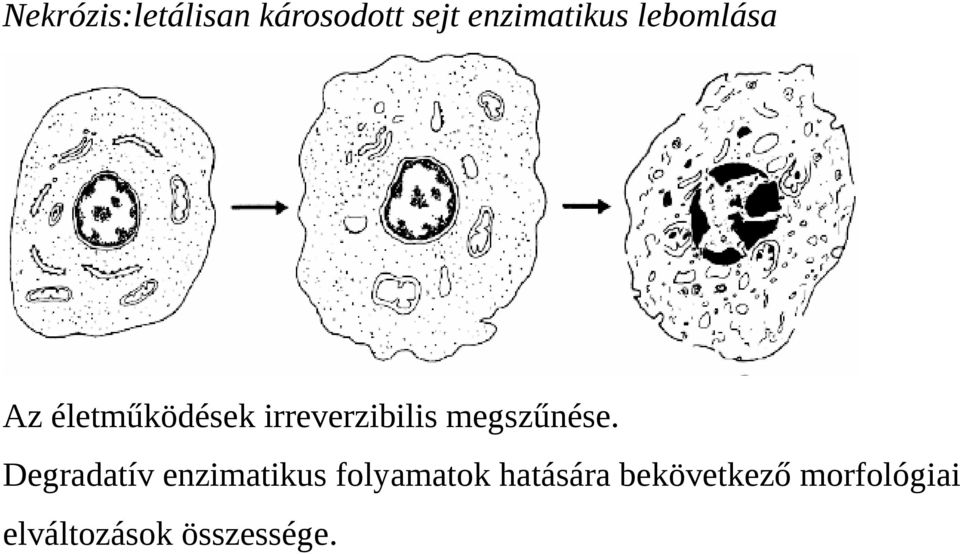 megszűnése.