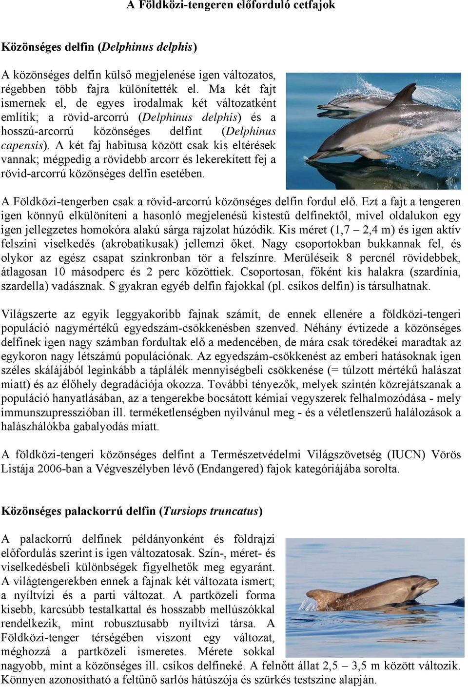 A két faj habitusa között csak kis eltérések vannak; mégpedig a rövidebb arcorr és lekerekített fej a rövid-arcorrú közönséges delfin esetében.