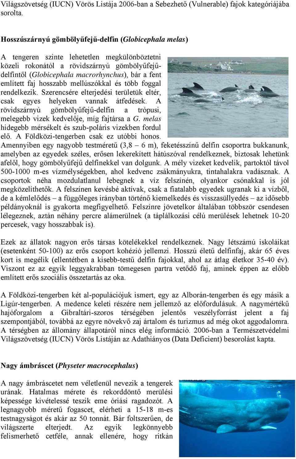 említett faj hosszabb mellúszókkal és több foggal rendelkezik. Szerencsére elterjedési területük eltér, csak egyes helyeken vannak átfedések.