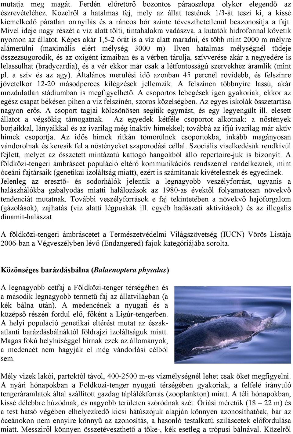 Mivel ideje nagy részét a víz alatt tölti, tintahalakra vadászva, a kutatók hidrofonnal követik nyomon az állatot.