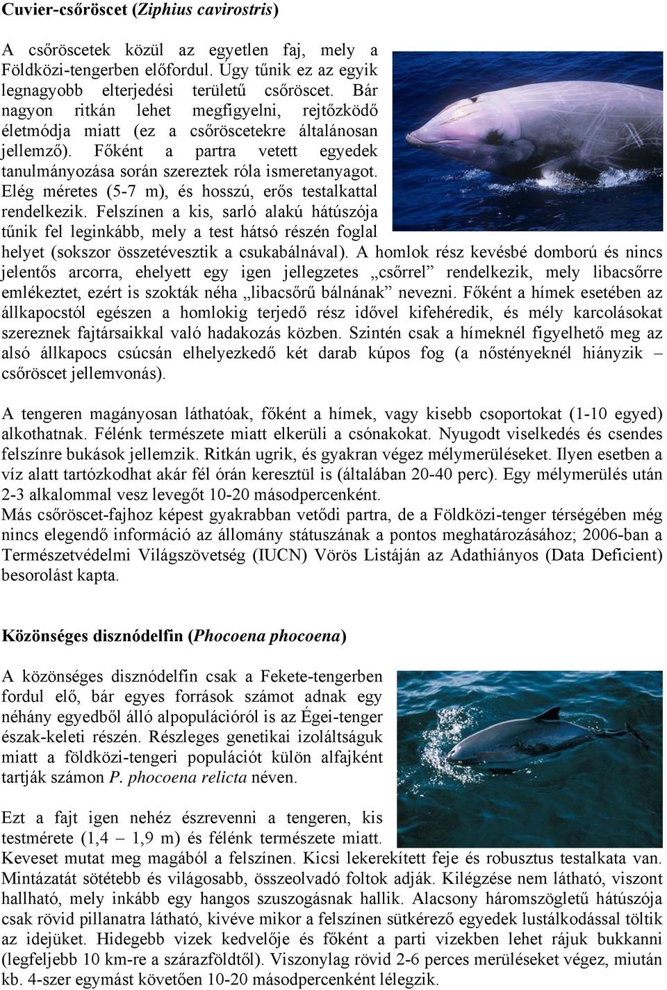 Elég méretes (5-7 m), és hosszú, erős testalkattal rendelkezik.