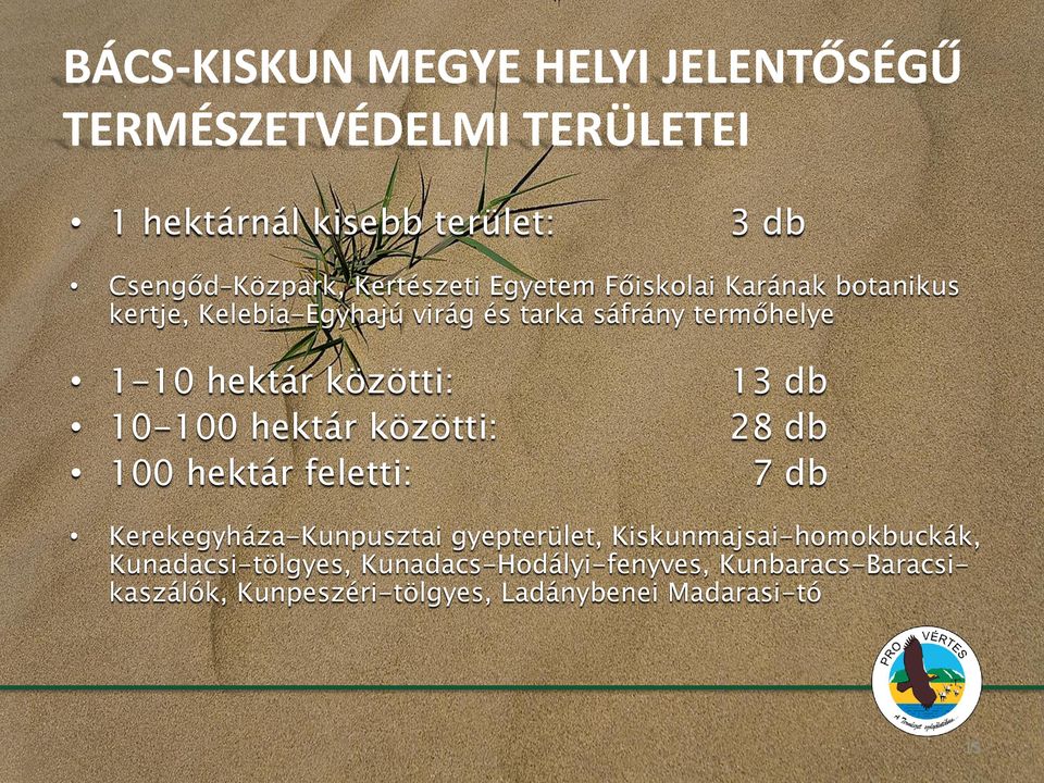 10-100 hektár közötti: 100 hektár feletti: 3 db 13 db 28 db 7 db Kerekegyháza-Kunpusztai gyepterület,