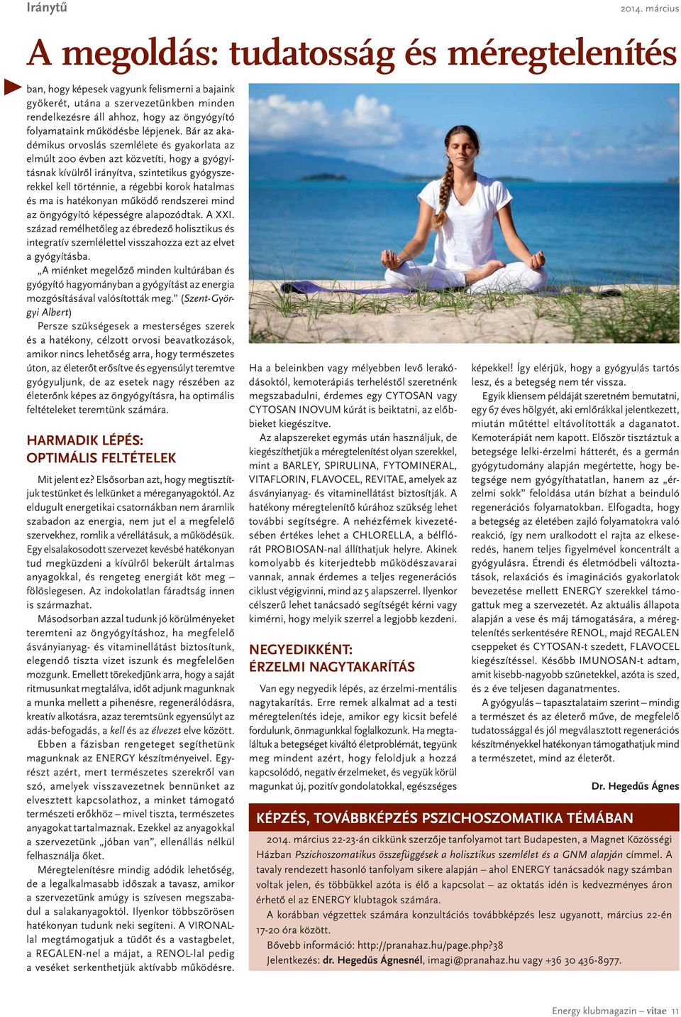 Bár az akadémikus orvoslás szemlélete és gyakorlata az elmúlt 200 évben azt közvetíti, hogy a gyógyításnak kívülről irányítva, szintetikus gyógyszerekkel kell történnie, a régebbi korok hatalmas és
