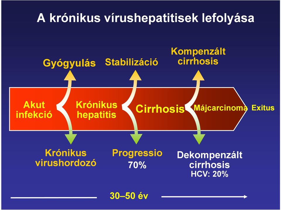 Krónikus hepatitis Cirrhosis Májcarcinoma Exitus