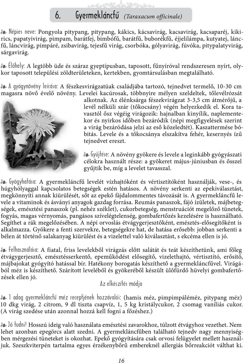 Élőhely: A legtöbb üde és száraz gyeptípusban, taposott, fűnyíróval rendszeresen nyírt, olykor taposott települési zöldterületeken, kertekben, gyomtársulásban megtalálható.