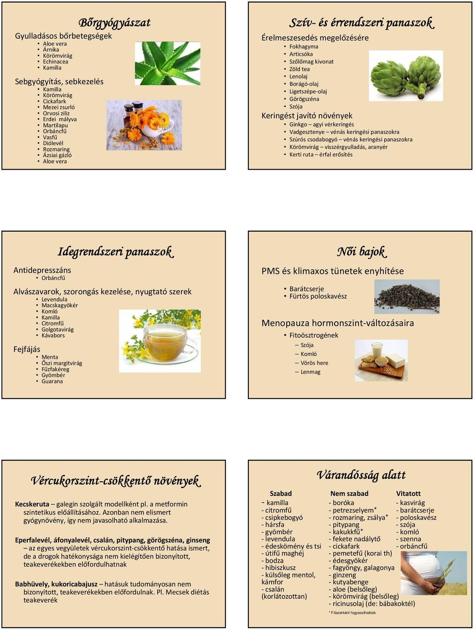 Görögszéna Szója Keringést javító növények Ginkgo agyi vérkeringés Vadgesztenye vénás keringési panaszokra Szúrós csodabogyó vénás keringési panaszokra Körömvirág visszérgyulladás, aranyér Kerti ruta