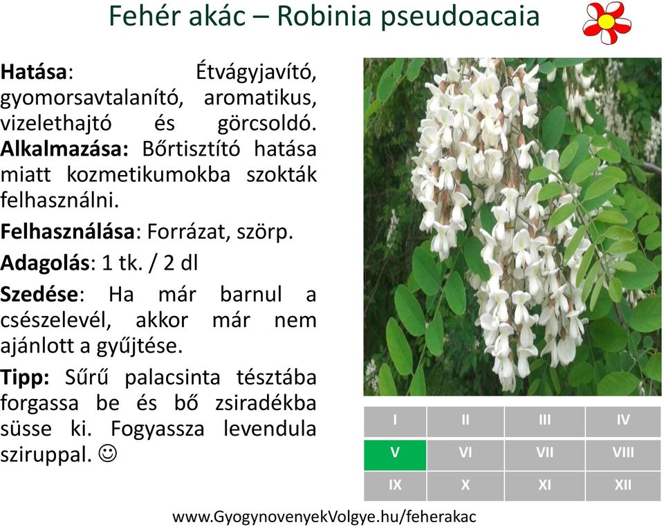 Alkalmazása: Bőrtisztító hatása miatt kozmetikumokba szokták felhasználni. Felhasználása: Forrázat, szörp. Adagolás: 1 tk.