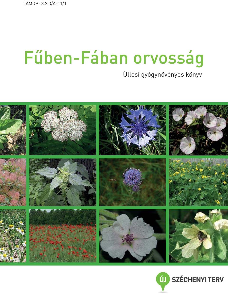 Fűben-Fában