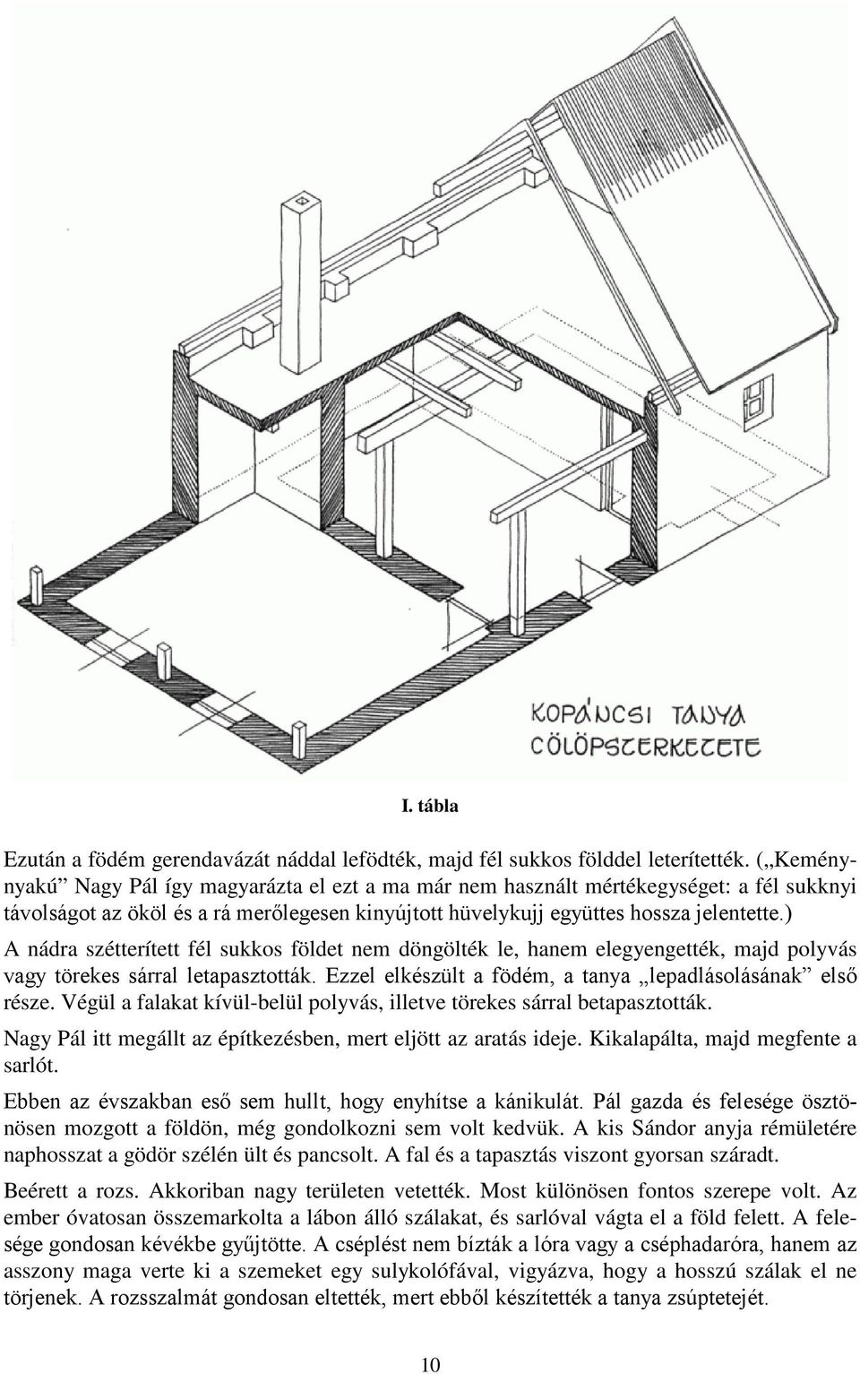 ) A nádra szétterített fél sukkos földet nem döngölték le, hanem elegyengették, majd polyvás vagy törekes sárral letapasztották. Ezzel elkészült a födém, a tanya lepadlásolásának első része.
