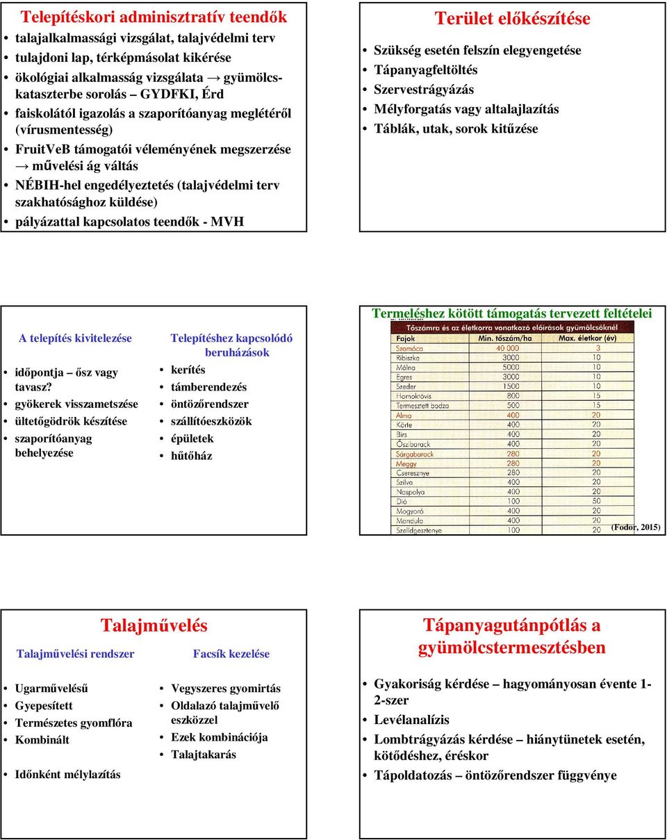 pályázattal kapcsolatos teendők - MVH Terület előkészítése Szükség esetén felszín elegyengetése Tápanyagfeltöltés Szervestrágyázás Mélyforgatás vagy altalajlazítás Táblák, utak, sorok kitűzése