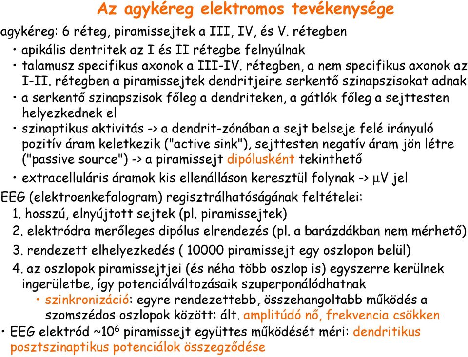 rétegben a piramissejtek dendritjeire serkentı szinapszisokat adnak a serkentı szinapszisok fıleg a dendriteken, a gátlók fıleg a sejttesten helyezkednek el szinaptikus aktivitás -> a dendrit-zónában