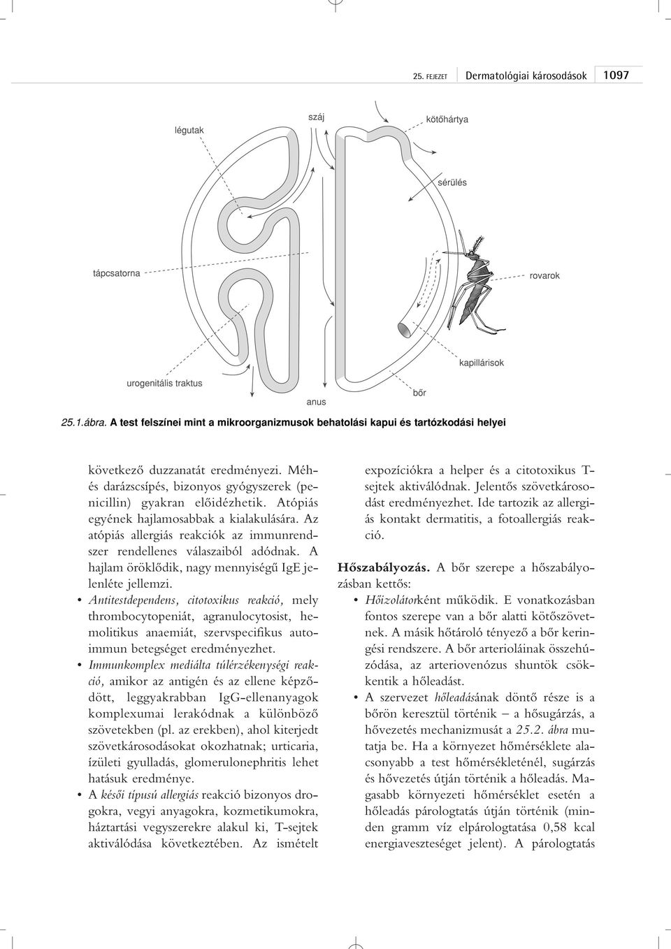 Az atópiás allergiás reakciók az immunrendszer rendellenes válaszaiból adódnak. A hajlam öröklôdik, nagy mennyiségû IgE jelenléte jellemzi.