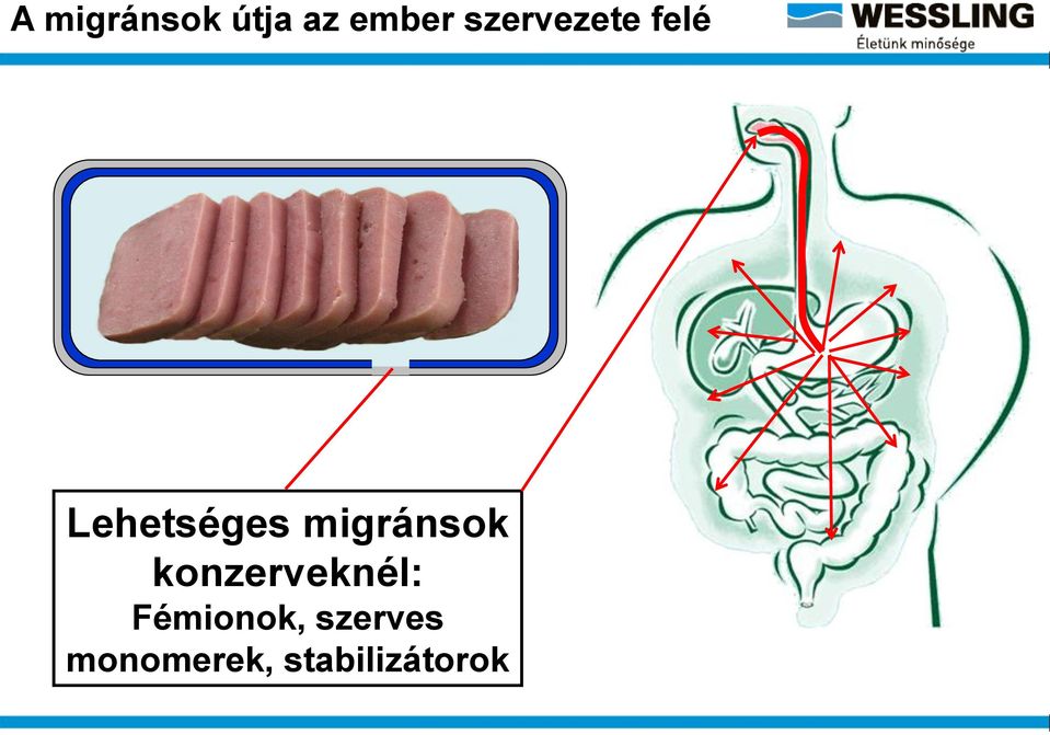 migránsok konzerveknél: