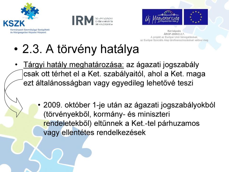 maga ezt általánosságban vagy egyedileg lehetővé teszi 2009.