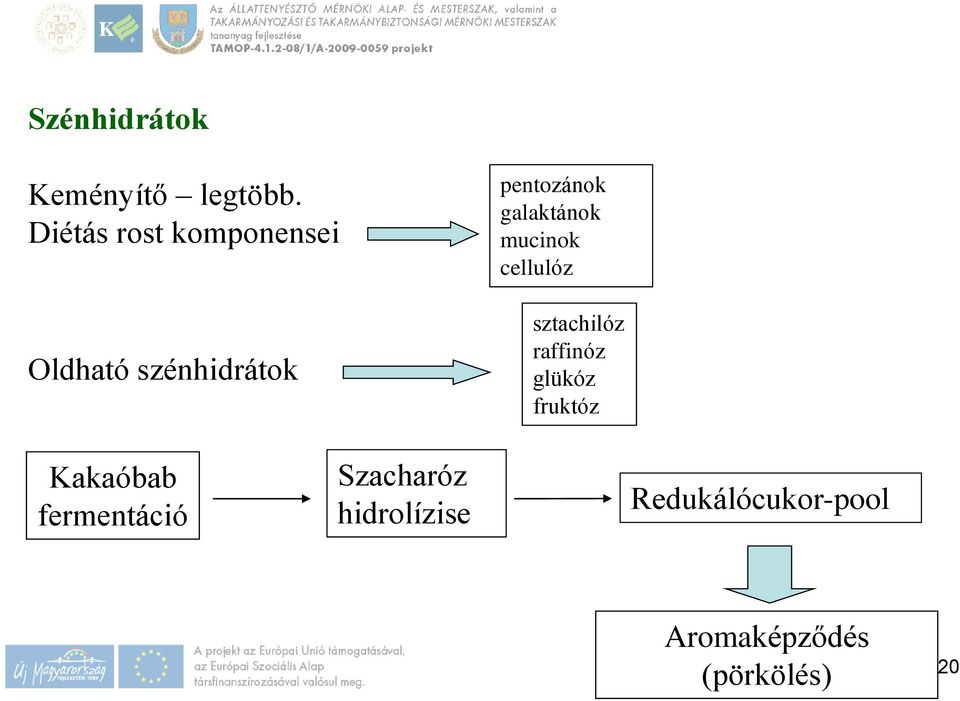 galaktánok mucinok cellulóz sztachilóz raffinóz glükóz