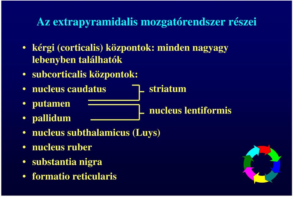 központok: nucleus caudatus putamen pallidum nucleus subthalamicus