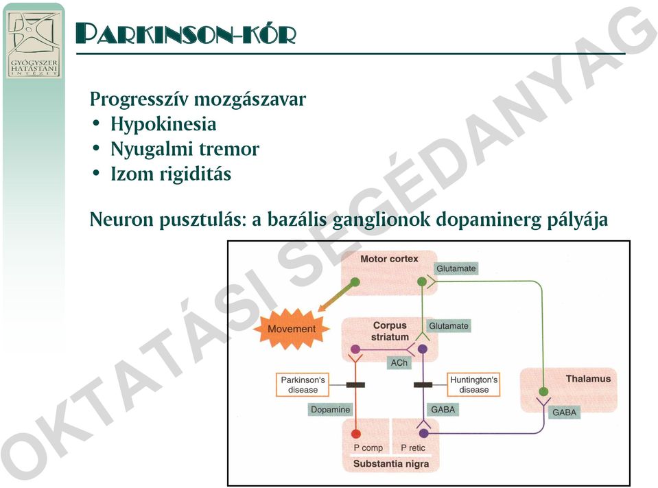 tremor Izom rigiditás Neuron