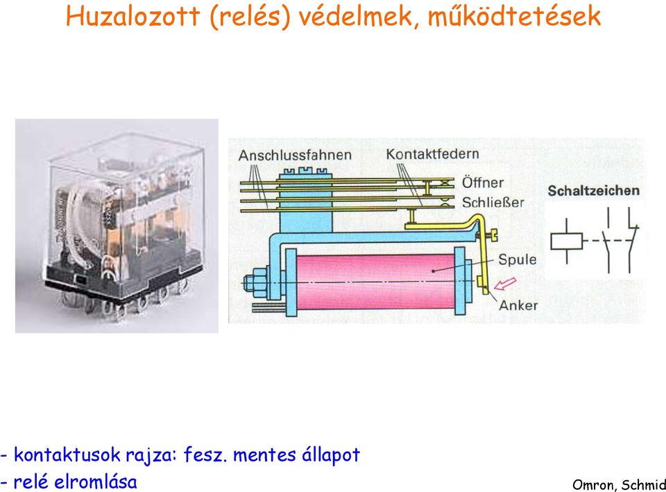 rajza: fesz.