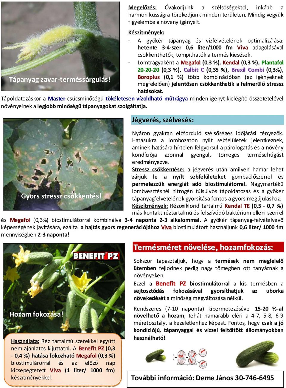 - Lomtrágyaként a Megafol (0,3 %), Kendal (0,3 %), Plantafol 20-20-20 (0,3 %), Calbit C (0,35 %), Brexil Combi (0,3%), Tápanyag zavar-terméssárgulás!