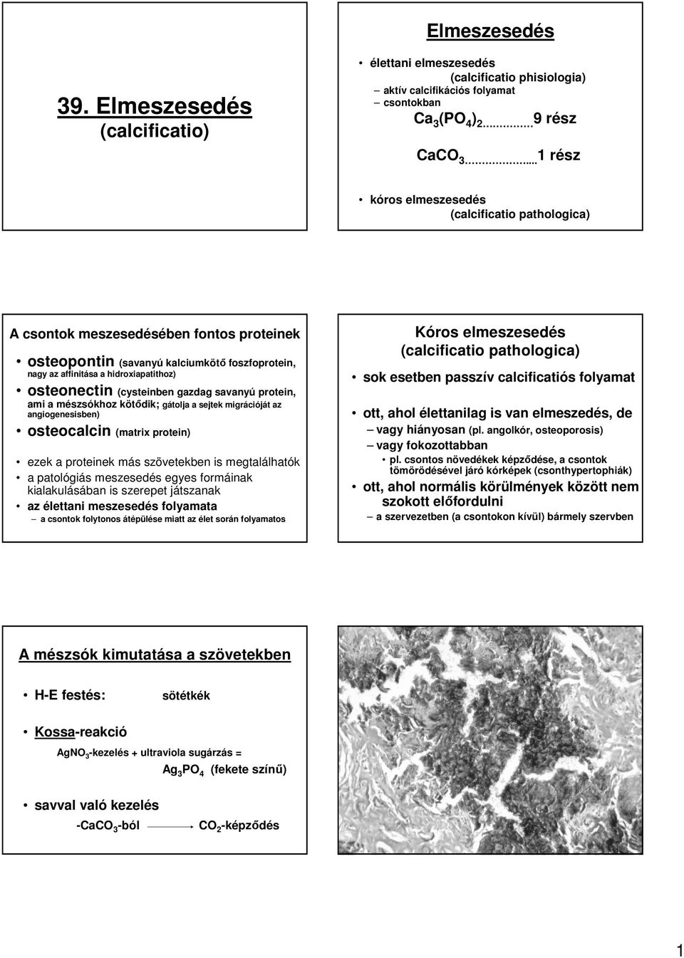 (cysteinben gazdag savanyú protein, ami a mészsókhoz kötıdik; gátolja a sejtek migrációját az angiogenesisben) osteocalcin (matrix protein) ezek a proteinek más szövetekben is megtalálhatók a