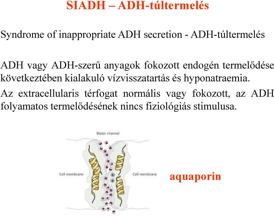 vízvisszatartás és hyponatraemia.