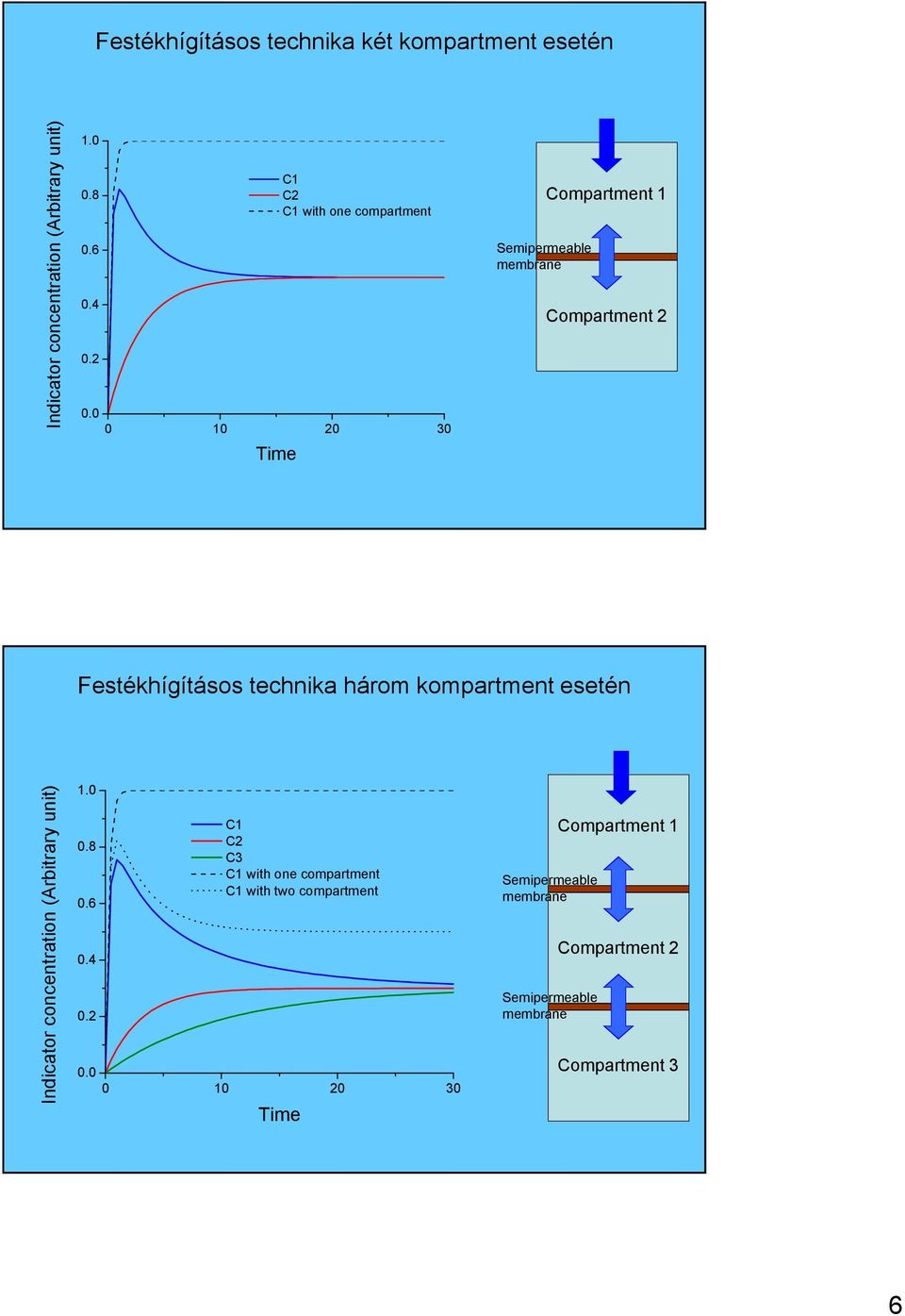 technika három kompartment esetén Indicator concentration (Arbitrary unit) 1.0 0.8 0.6 0.4 0.