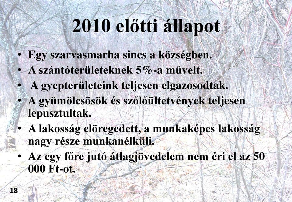 A gyümölcsösök és szőlőültetvények teljesen lepusztultak.