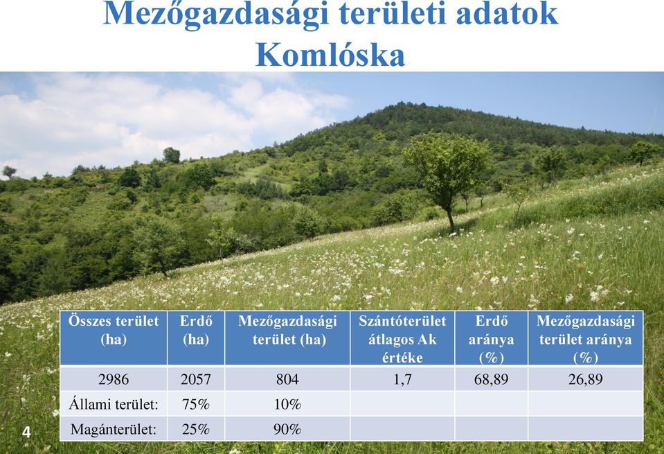 Erdő aránya (%) Mezőgazdasági terület aránya (%) 2986 2057 804
