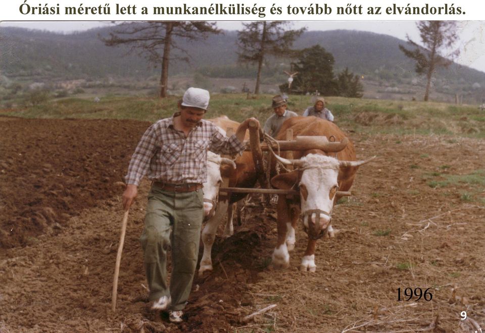 és tovább nőtt az