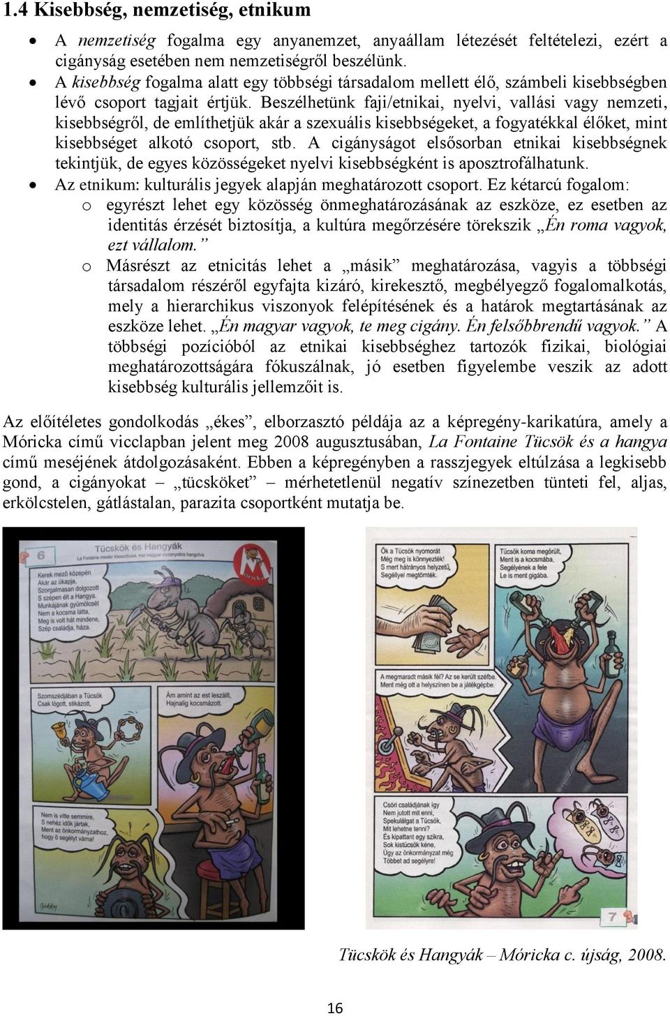 Beszélhetünk faji/etnikai, nyelvi, vallási vagy nemzeti, kisebbségről, de említhetjük akár a szexuális kisebbségeket, a fogyatékkal élőket, mint kisebbséget alkotó csoport, stb.