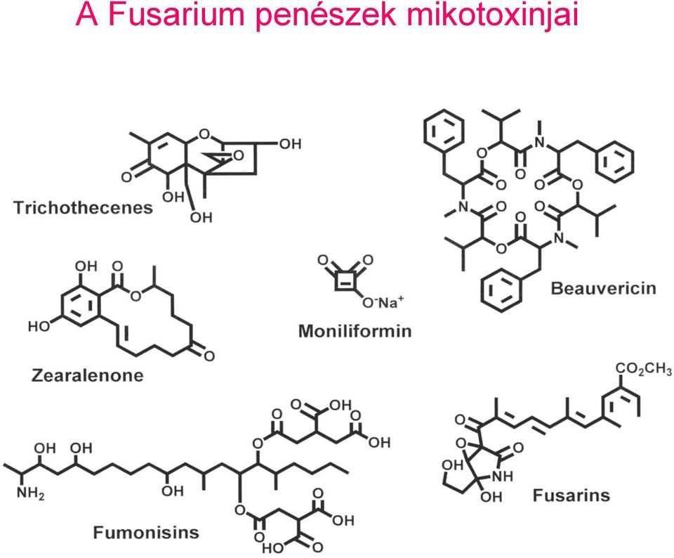 penészek