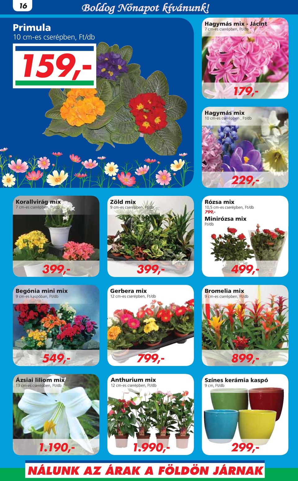 cm-es cserépben, Ft/db Zöld mix 9 cm-es cserépben, Ft/db Begónia mini mix 9 cm-es kaspóban, Ft/db Gerbera mix 12 cm-es cserépben, Ft/db Bromelia mix