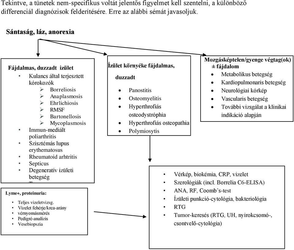 lupus erythematosus Rheumatoid arhtritis Septicus Degeneratív izületi betegség Trauma Lyme+, proteinuria: Teljes vizeletvizsg.